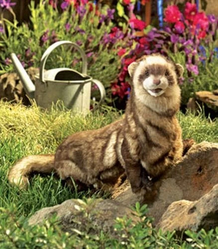 Ferret Puppet - Image 2