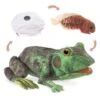 Frog Life Cycle Puppet