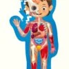 Hape Human Body Puzzle