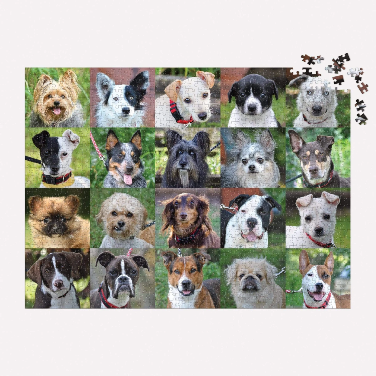 Chronicle Books Rescue Dogs 1000 Piece Puzzle - Image 5